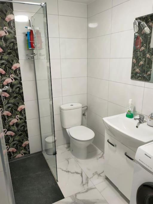 Apartament Flamingo Z Basenem Torrevieja Exterior foto